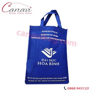Túi Vải Không Dệt TVKD02