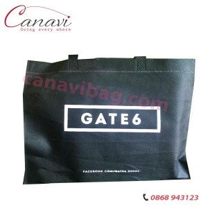 Túi vải không dệt Gate 6 TVE015