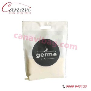 Túi vải không dệt Gemer TVE014