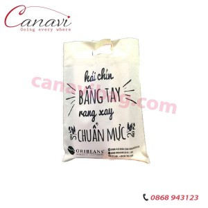 Túi vải không dệt ép nhiệt Oribeans TVE011
