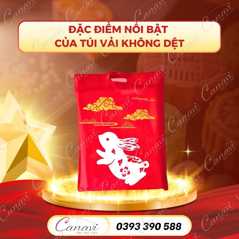 Đặc điểm nổi bật của túi vải không dệt