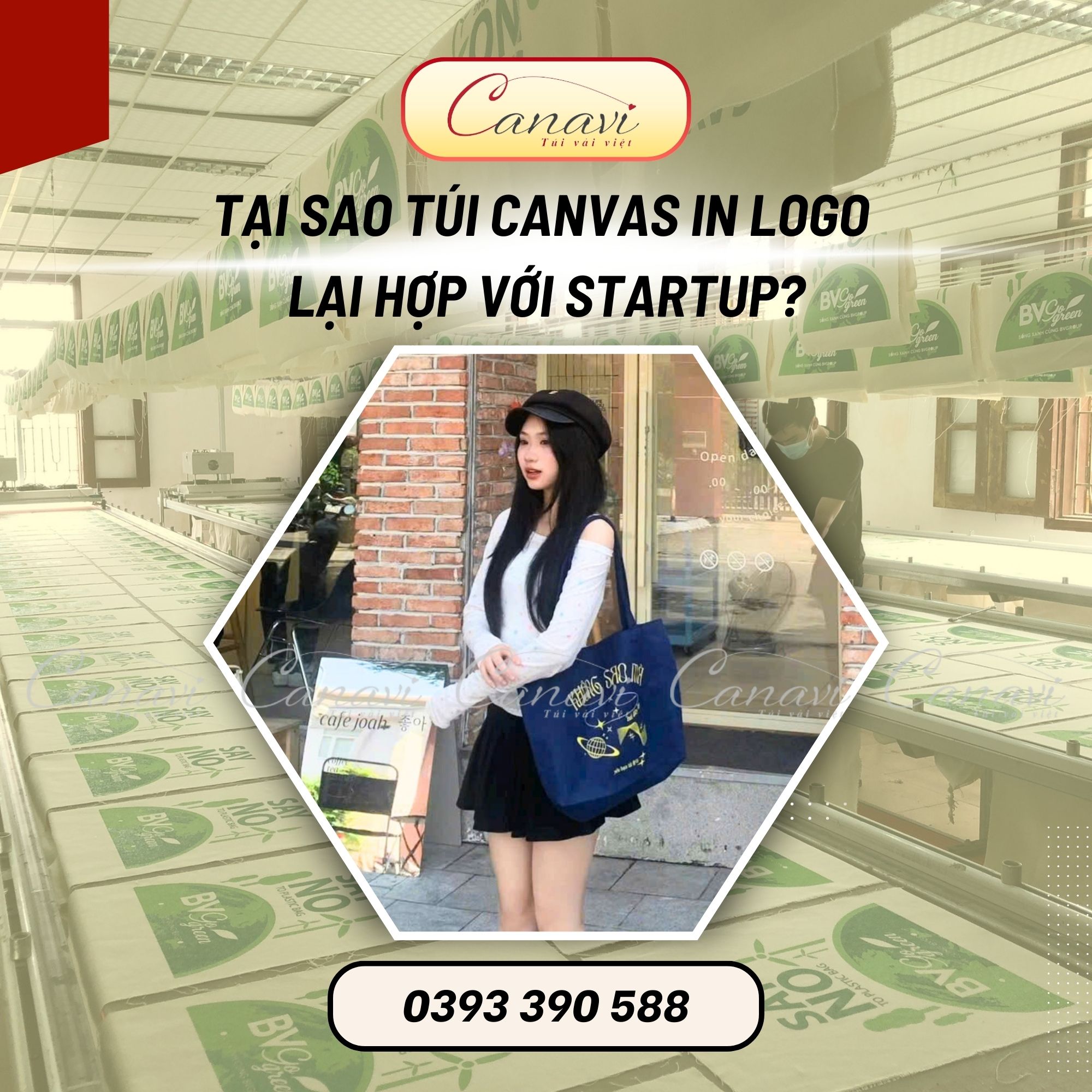 Tại Sao Túi Canvas In Logo Lại Hợp Với Startup?