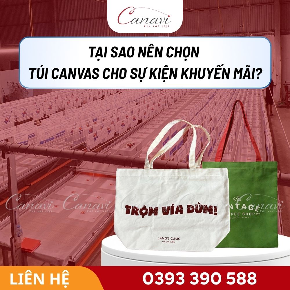 Tại Sao Nên Chọn Túi Canvas Cho Sự Kiện Khuyến Mãi?