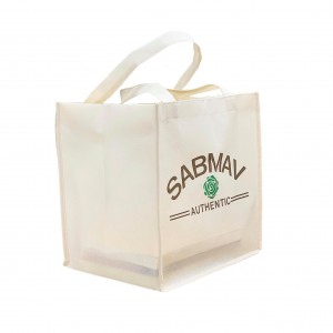 PP Non-woven Bag TVE007