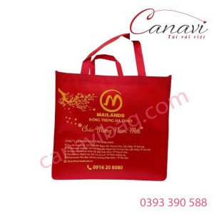 Túi chúc mừng năm mới 006