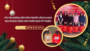 Túi vải không dệt kích thước lớn in logo - Giải pháp bao bì quà tặng cho chiến dịch thiện nguyện