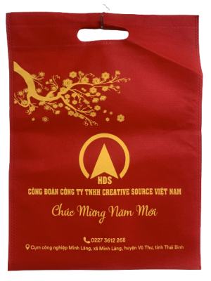  PP Non-woven Bag TVE020