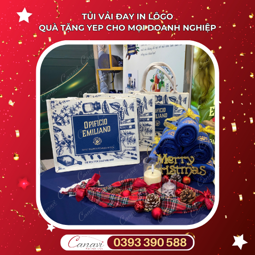 Những ưu điểm nổi bật của túi vải đay