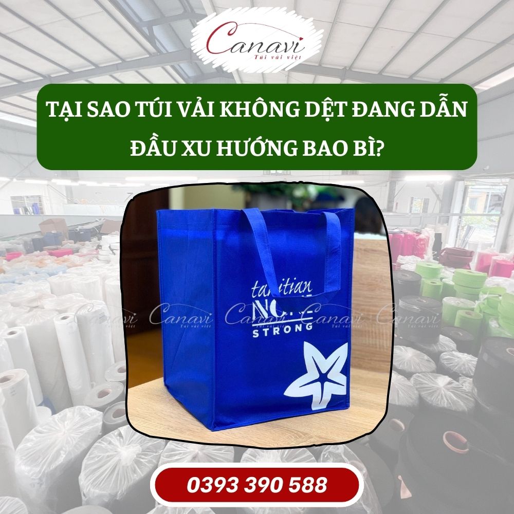 Tại sao túi vải không dệt đang dẫn đầu xu hướng bao bì?